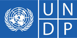 undp-logo-5682674D5C-seeklogo.com